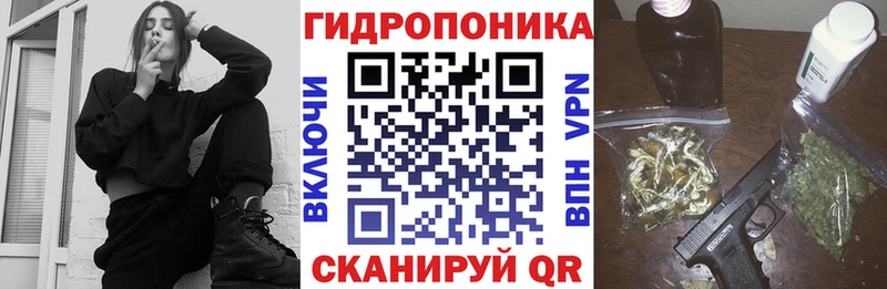 МАРИХУАНА сатива  где купить наркотик  Олонец 